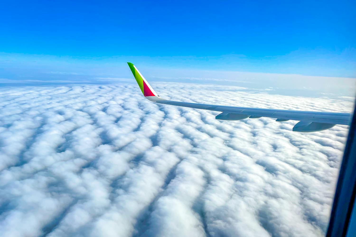 What to Do if You Miss Your Connecting Flight?