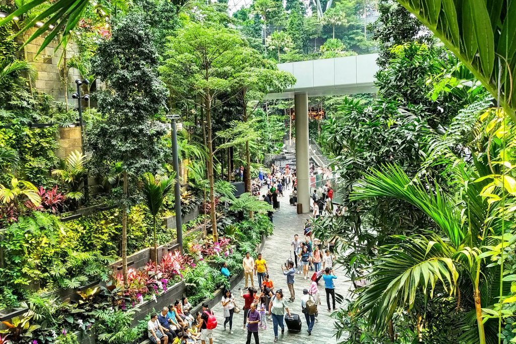 Beautiful gardens in Singapore Changi Airport