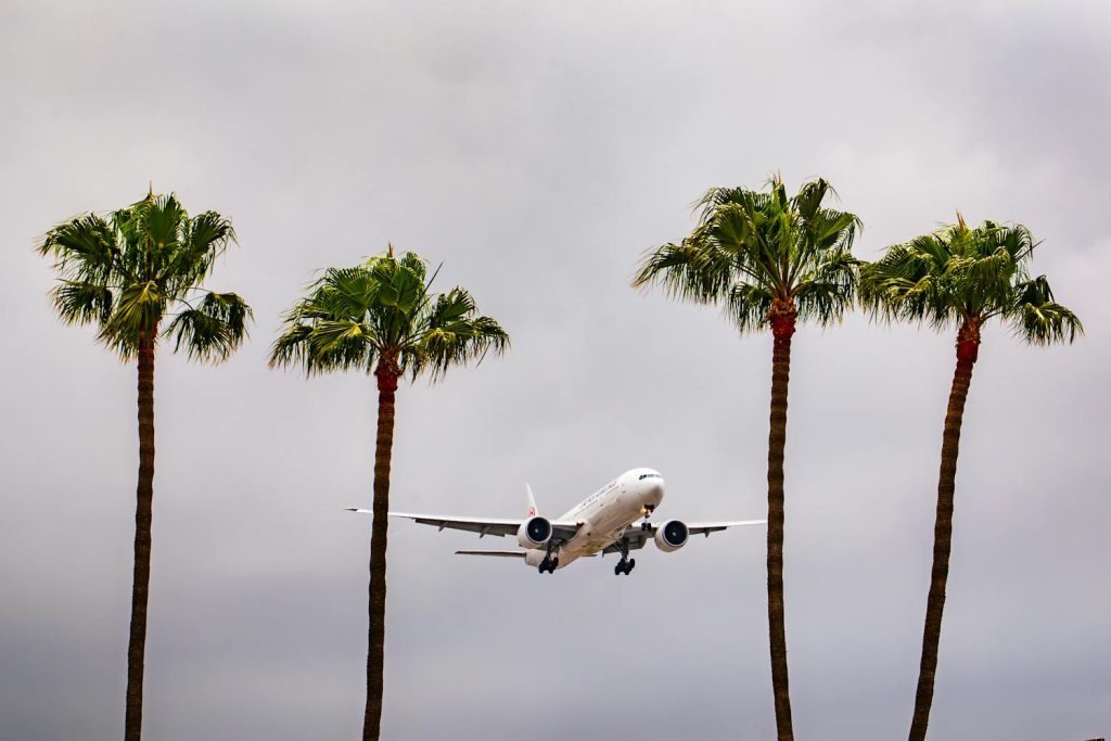 Airplane flying low over palm trees