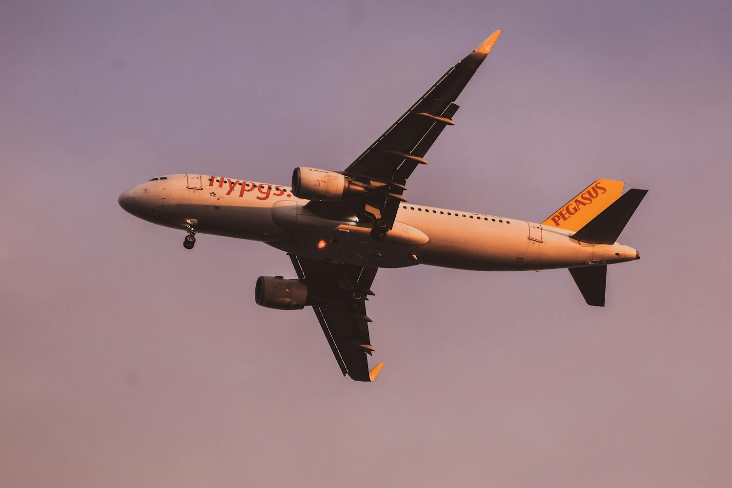 Pegasus Airlines Compensation Under SHY Regulation